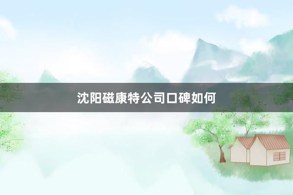 沈阳磁康特公司口碑如何